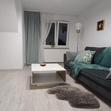City View Kanonierska - Przy Parku Blisko Centrum Świdnica Esterno foto